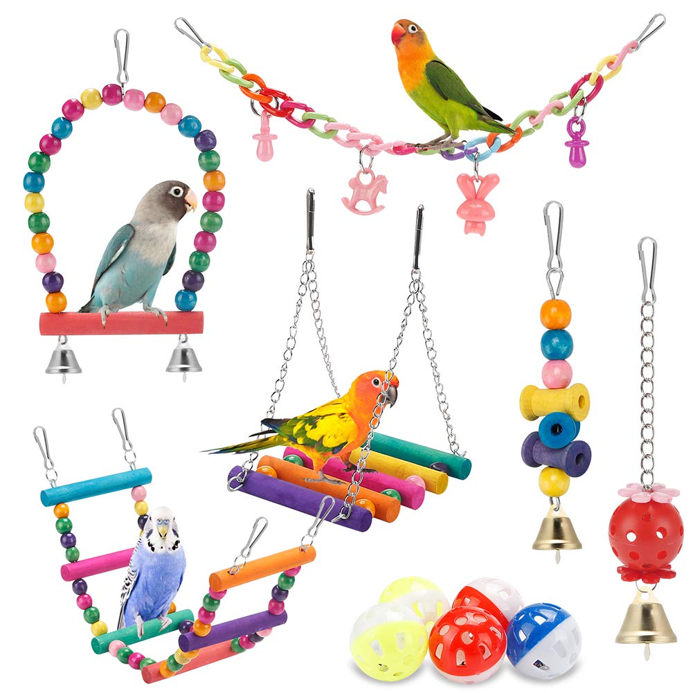 Accesorios para Aves
