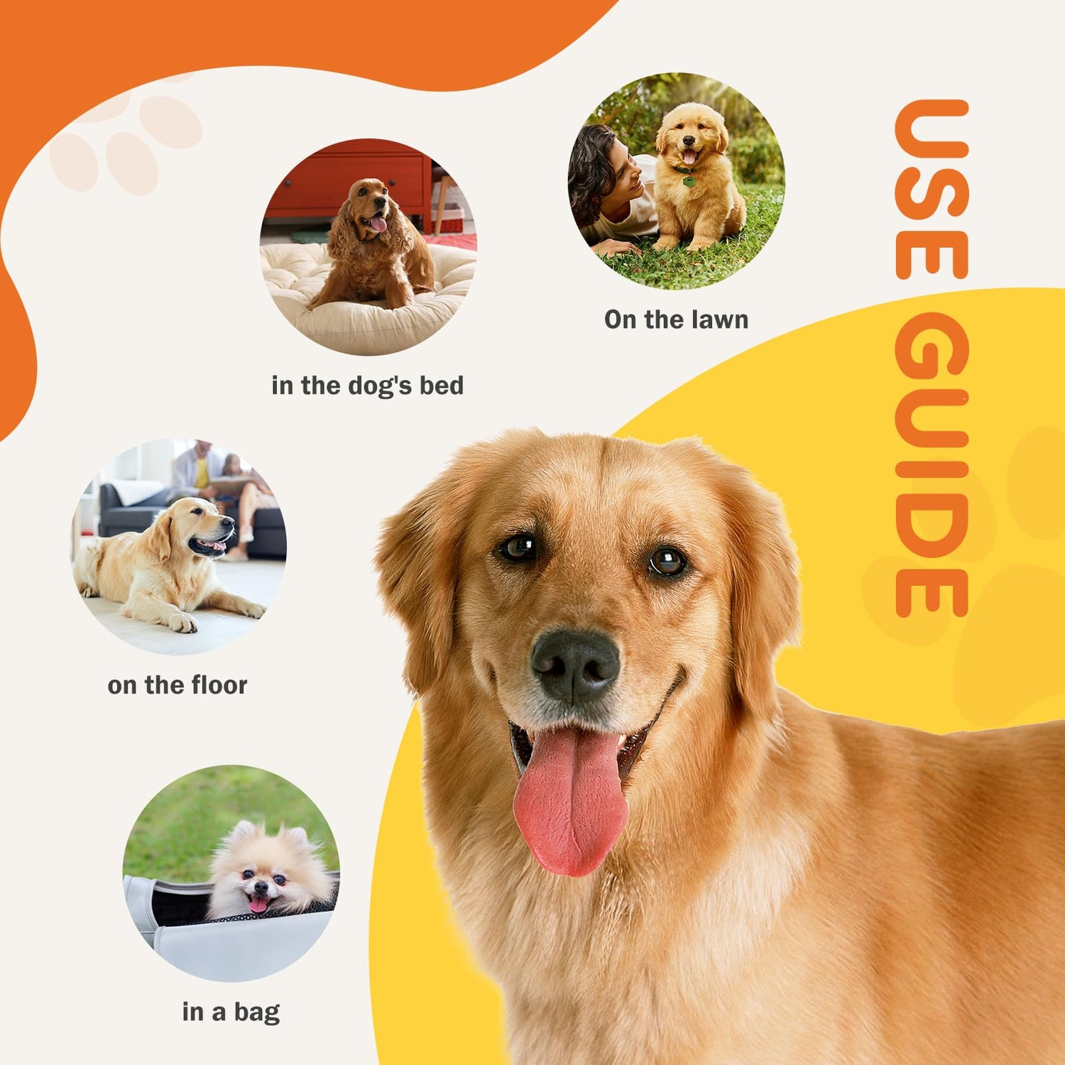 Accesorios para Perros