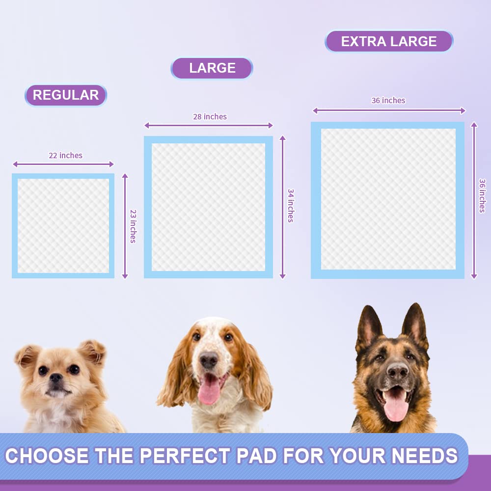 IMMCUTE Puppy Pee Pads 22"x23"-80Count | Dog Pee Training Pads Super Absorbent & Leak-Proof | Disposable Pet Piddle and Potty Pads for Puppies | Dogs | Doggie| Cats | Rabbits (22"*23"-80 Ct)