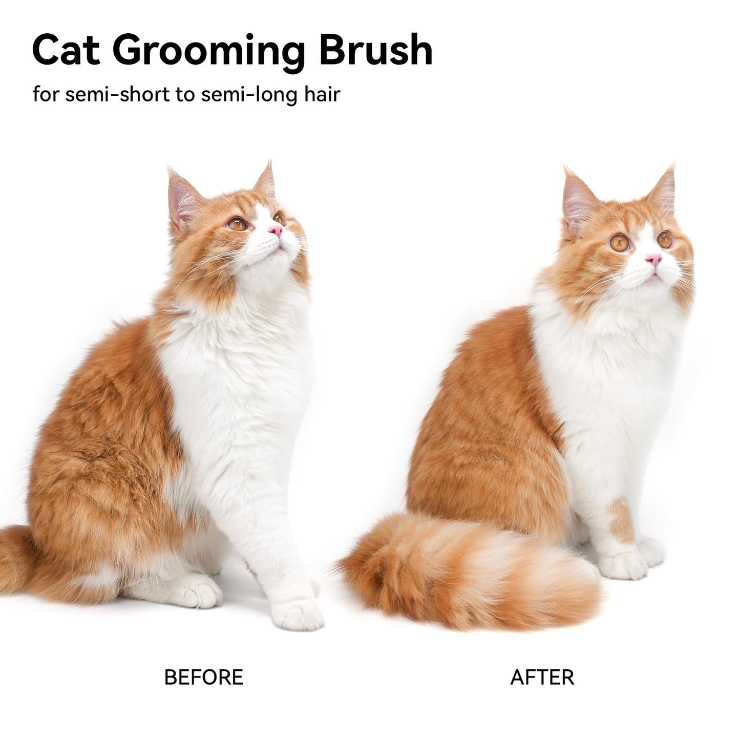 aumuca Cat Brush for Shedding, Cat Brushes for Indoor Cats, Cat Brush for Long or Short Haired Cats, Cat Hair Brush Cat Grooming Deshedding Brush for Dog Kitten Rabbit Massage Removes Loose Fur, White