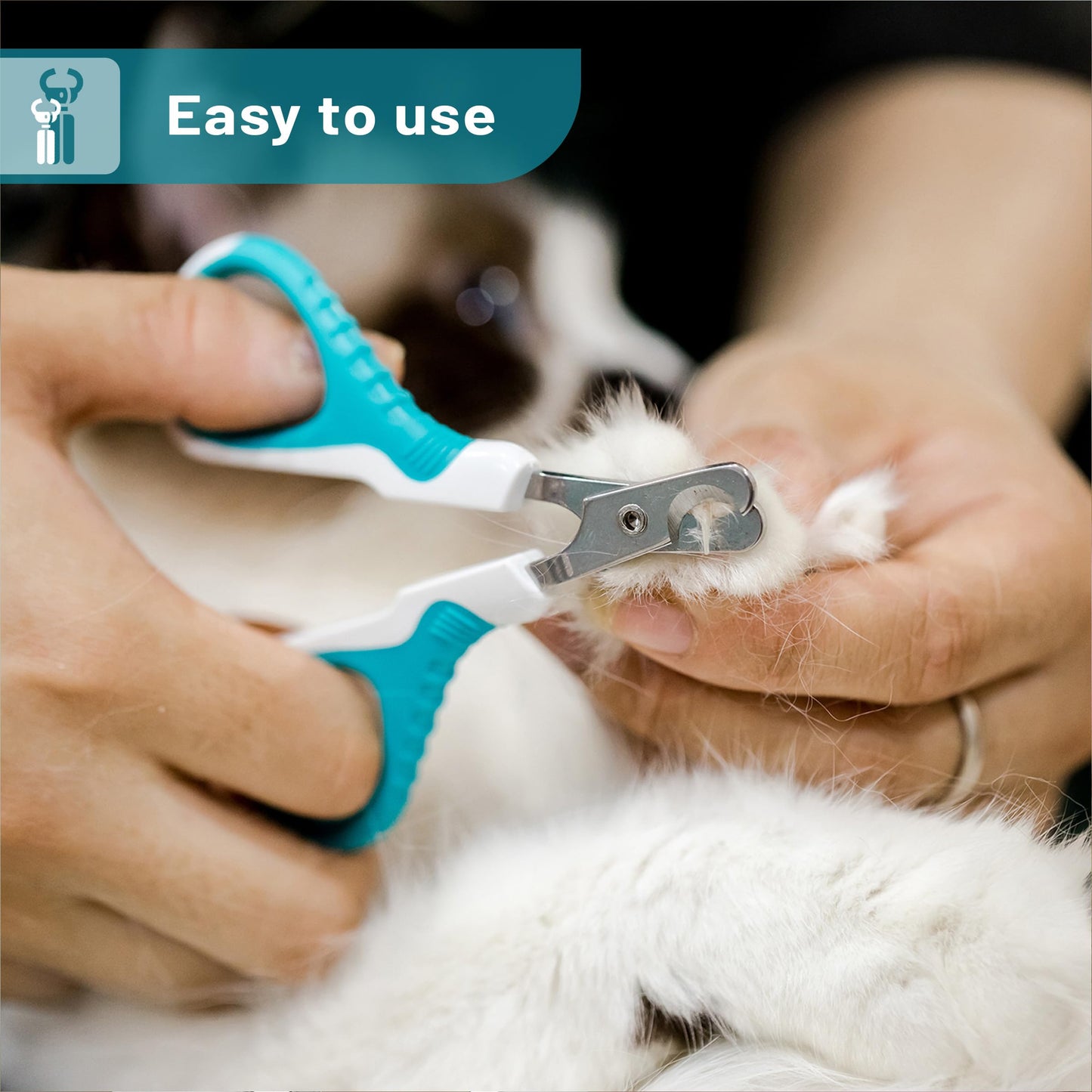 Mr. Pen- Cat Nail Clipper, Kitten Nail Trimmers, Pet Nail Cutter